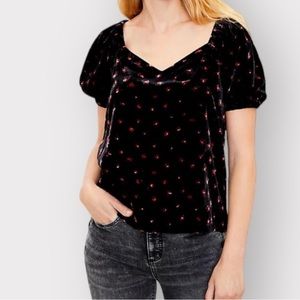 NWT Ann Taylor Loft Floral Puff Sleeve Velvet Sweetheart Top XL